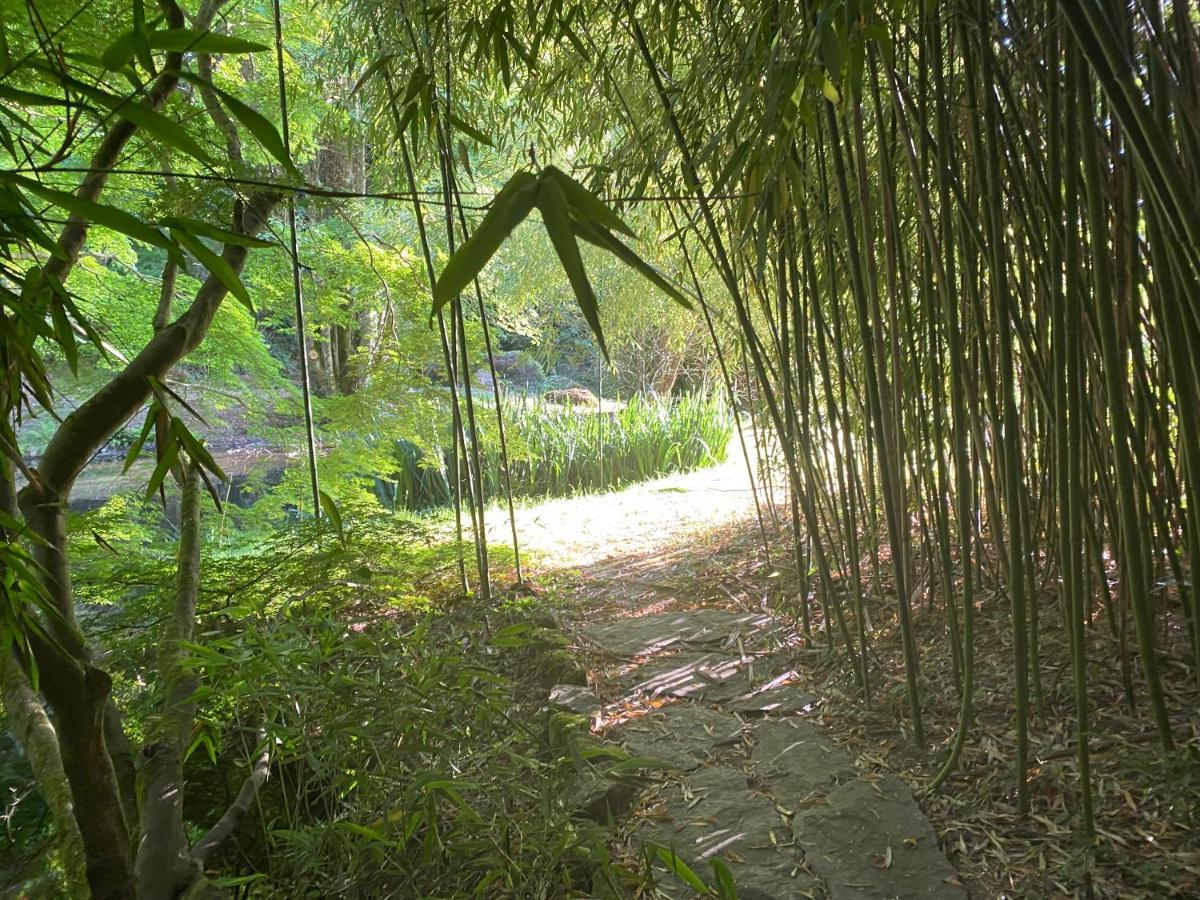 Les Moulins Du Duc Ecolodge Moëlan-sur-Mer Eksteriør bilde